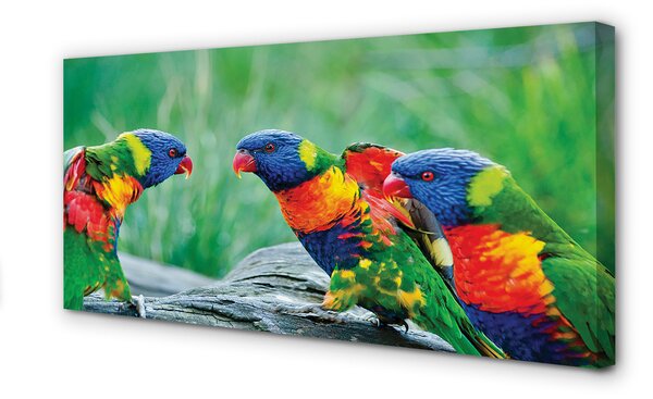 Tablouri canvas copac papagal colorat
