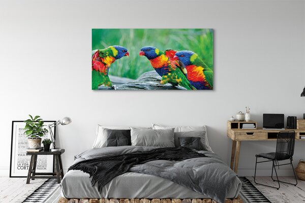 Tablouri canvas copac papagal colorat