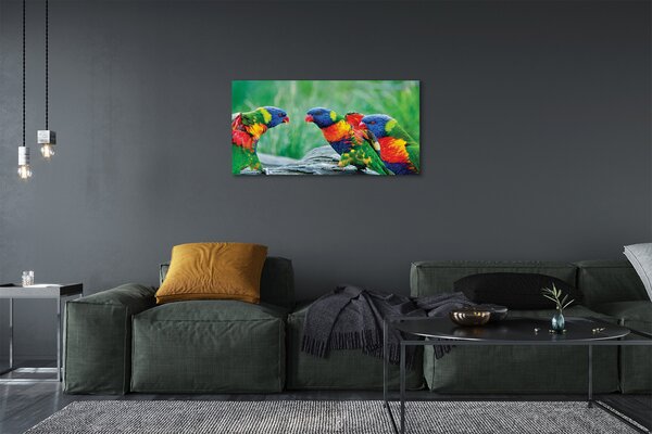 Tablouri canvas copac papagal colorat