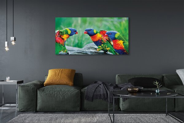Tablouri canvas copac papagal colorat