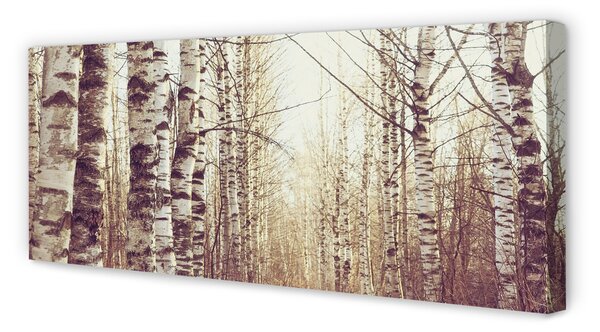 Tablouri canvas copaci