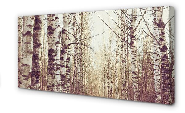 Tablouri canvas copaci