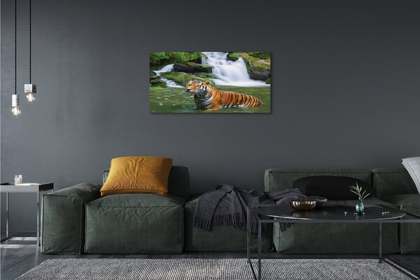 Tablouri canvas tigru cascadă