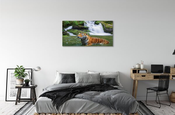 Tablouri canvas tigru cascadă