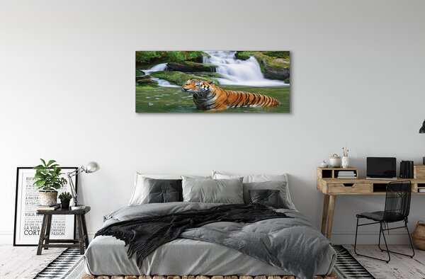 Tablouri canvas tigru cascadă