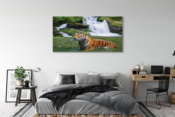 Tablouri canvas tigru cascadă