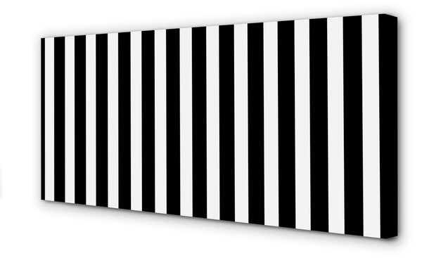 Tablouri canvas dungi zebră geometrice