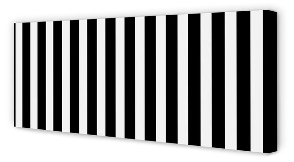 Tablouri canvas dungi zebră geometrice