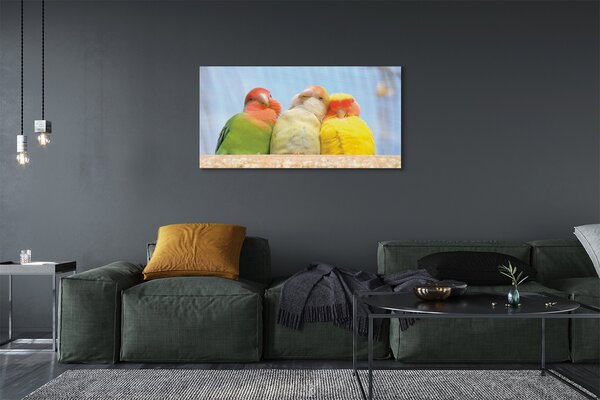 Tablouri canvas papagal colorat