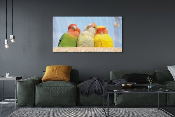 Tablouri canvas papagal colorat