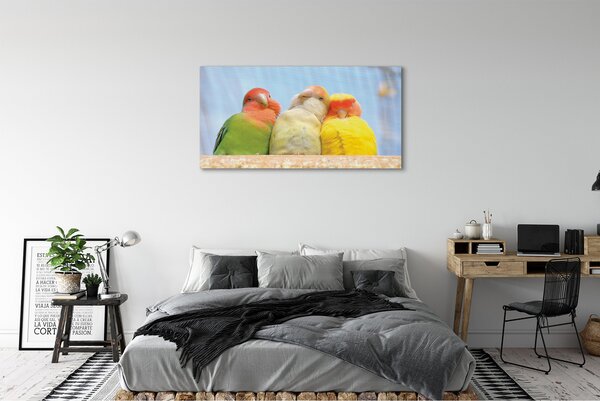 Tablouri canvas papagal colorat