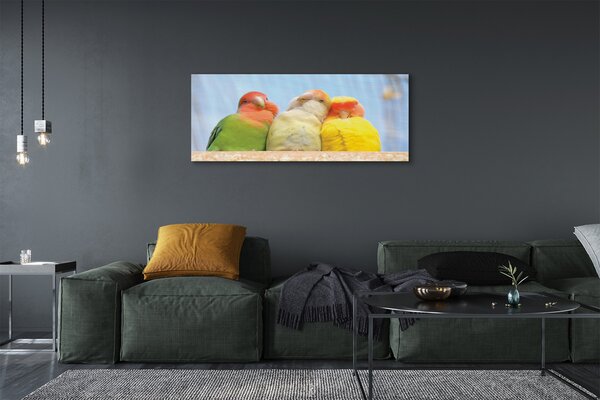 Tablouri canvas papagal colorat