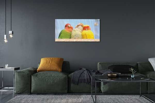 Tablouri canvas papagal colorat