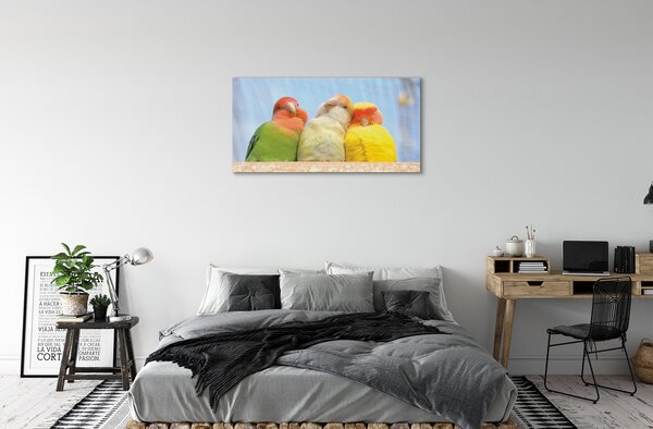 Tablouri canvas papagal colorat