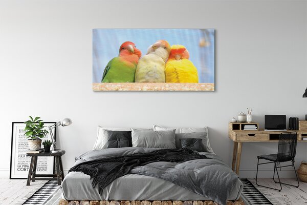 Tablouri canvas papagal colorat
