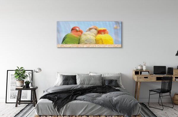 Tablouri canvas papagal colorat