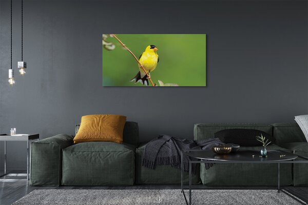 Tablouri canvas papagal galben
