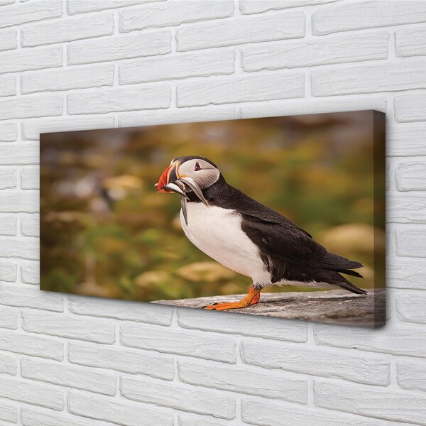 Tablouri canvas Papagal