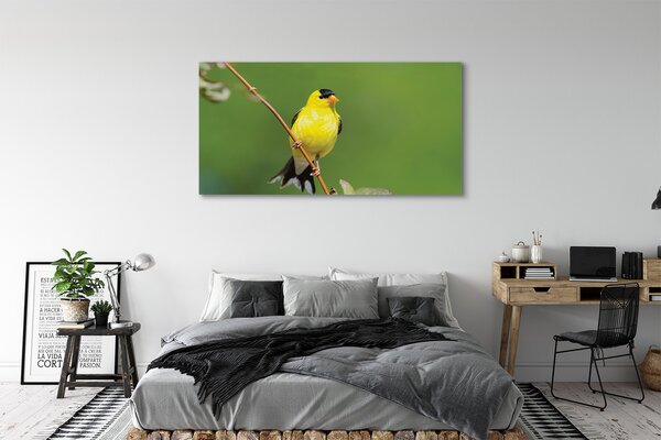 Tablouri canvas papagal galben