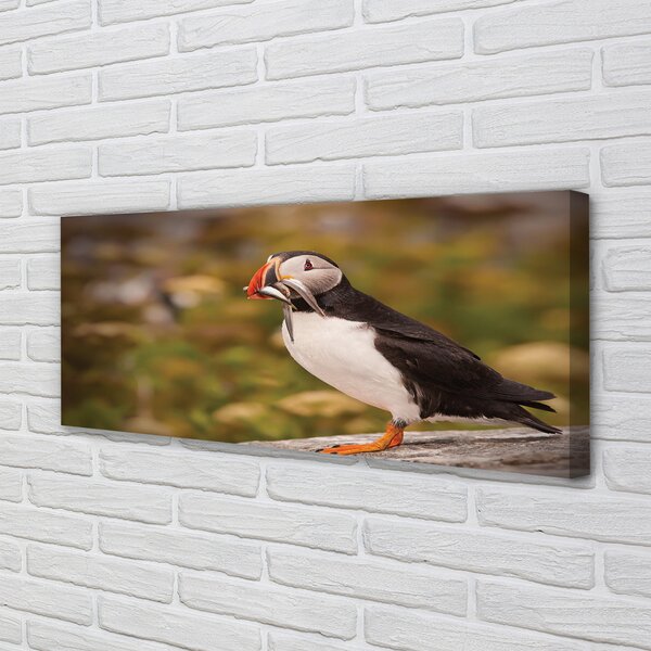 Tablouri canvas Papagal