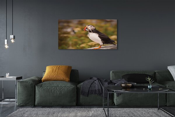 Tablouri canvas Papagal