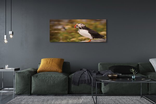 Tablouri canvas Papagal