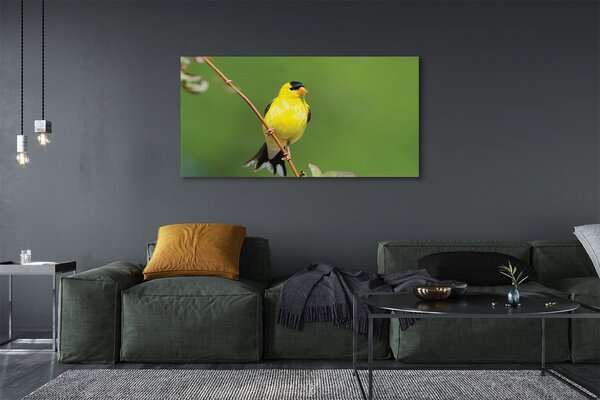 Tablouri canvas papagal galben