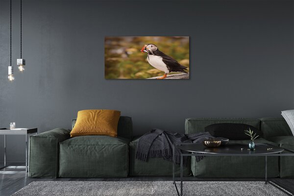 Tablouri canvas Papagal