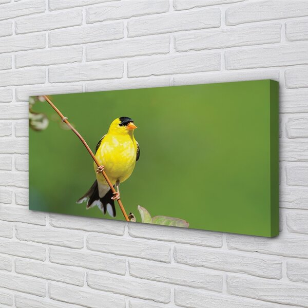 Tablouri canvas papagal galben