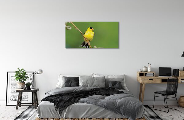 Tablouri canvas papagal galben