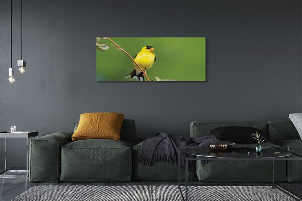 Tablouri canvas papagal galben