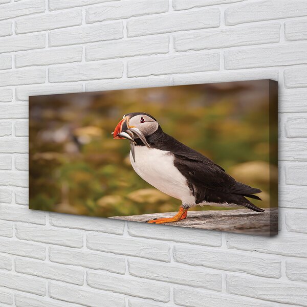 Tablouri canvas Papagal