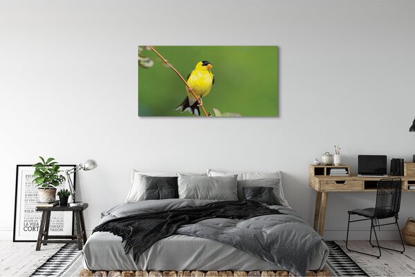Tablouri canvas papagal galben