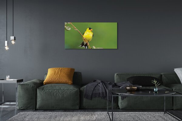 Tablouri canvas papagal galben