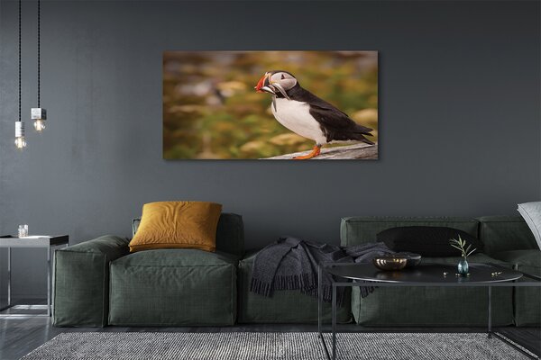 Tablouri canvas Papagal