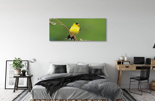 Tablouri canvas papagal galben