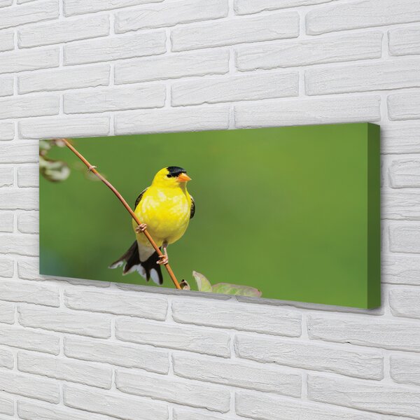 Tablouri canvas papagal galben