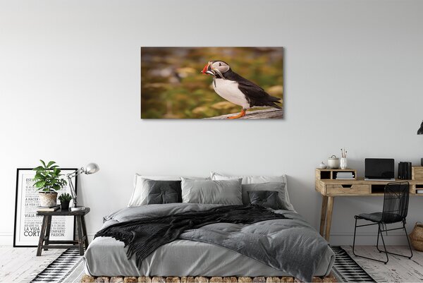 Tablouri canvas Papagal