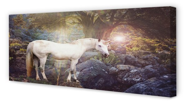 Tablouri canvas Unicorn în pădure