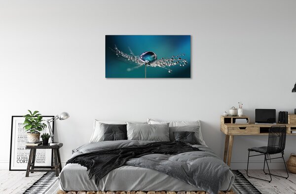 Tablouri canvas Picături păpădie macro