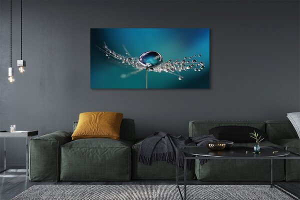 Tablouri canvas Picături păpădie macro