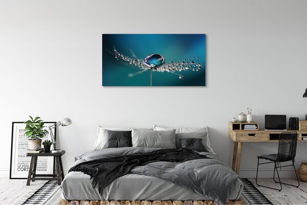 Tablouri canvas Picături păpădie macro