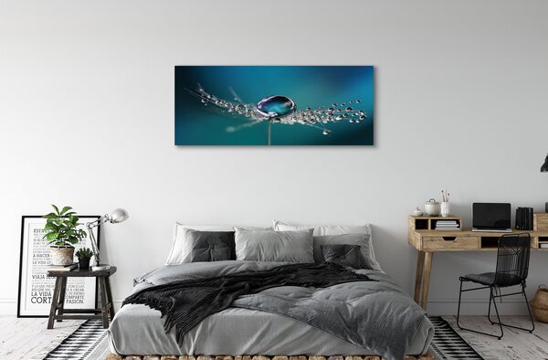 Tablouri canvas Picături păpădie macro