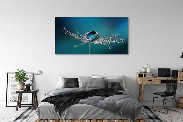 Tablouri canvas Picături păpădie macro