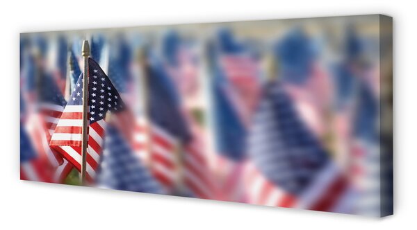 Tablouri canvas Statele Unite ale Americii flag