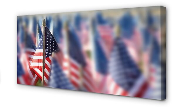 Tablouri canvas Statele Unite ale Americii flag