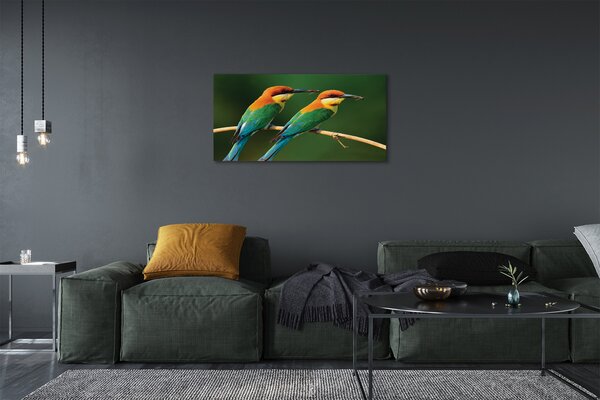 Tablouri canvas papagal colorat de pe o ramură