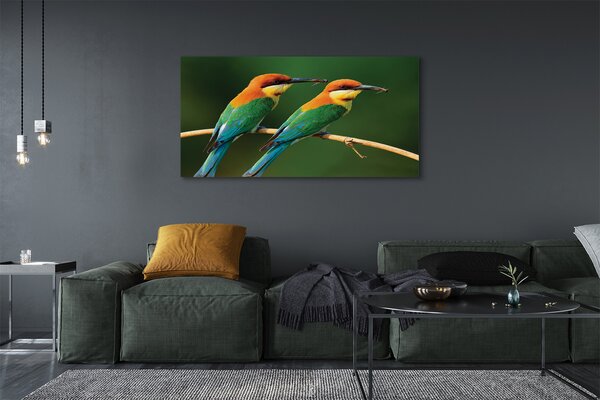 Tablouri canvas papagal colorat de pe o ramură