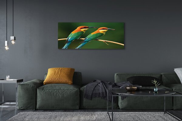 Tablouri canvas papagal colorat de pe o ramură