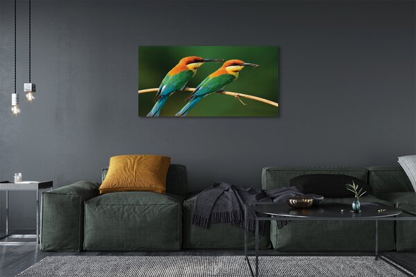 Tablouri canvas papagal colorat de pe o ramură